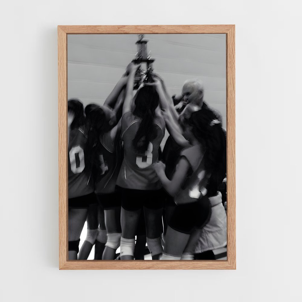 Poster Volleyball Fever (vue 4)